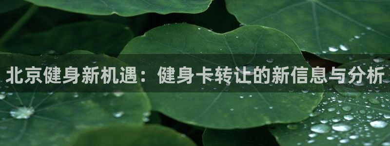 意昂2代理