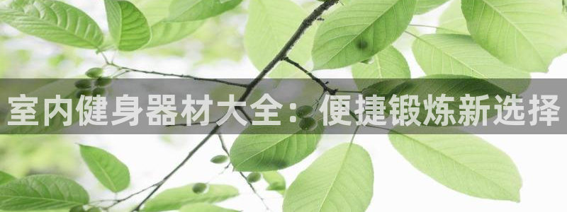 意昂2平台